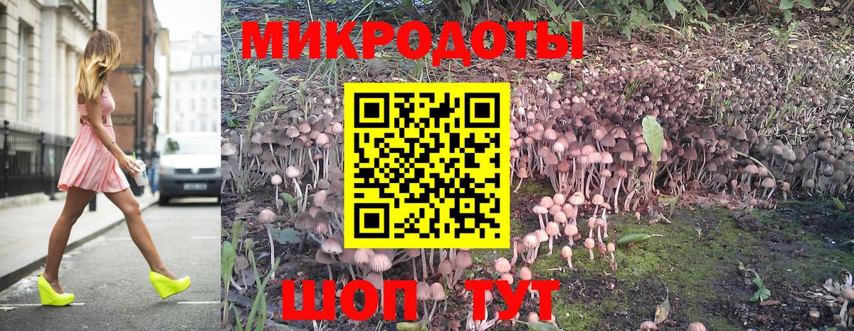 Красноармейск  Псилоцибиновые грибы Psilocybe  Вход с VPN  Галлюциногенные грибы мухоморы 
